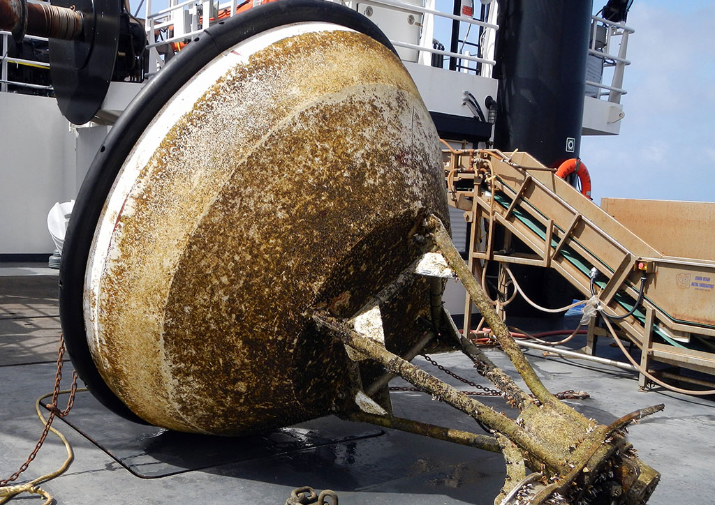 Cargo surveys and inspection
